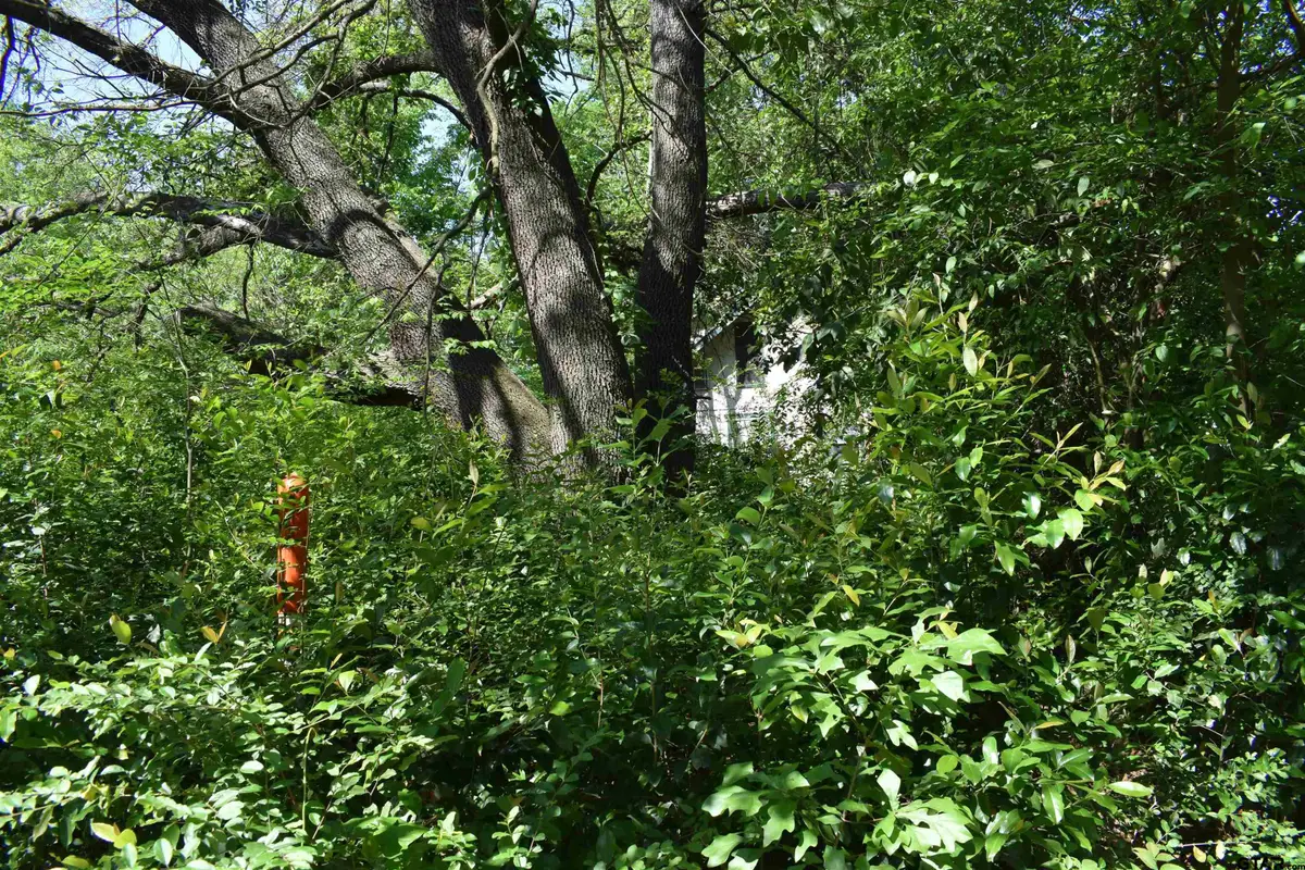 10946 Clover Ln., Frankston, TX 75763 - Image #1