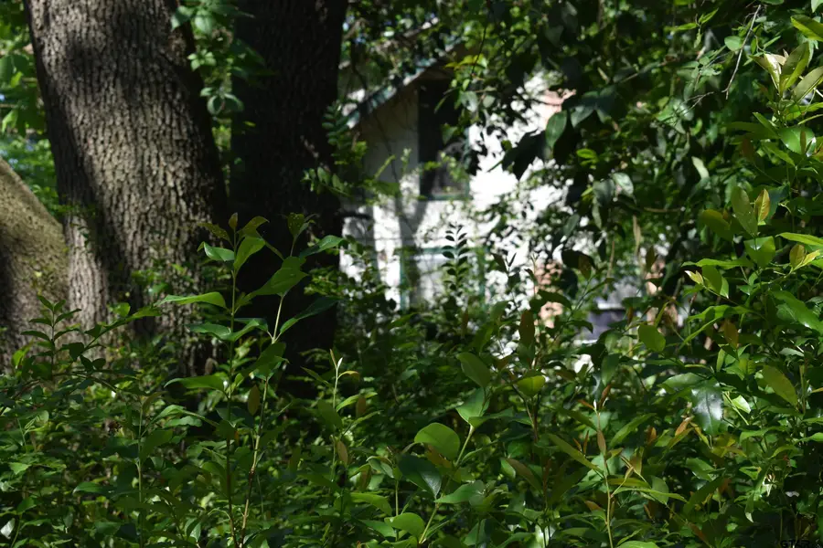 10946 Clover Ln., Frankston, TX 75763 - Image #2