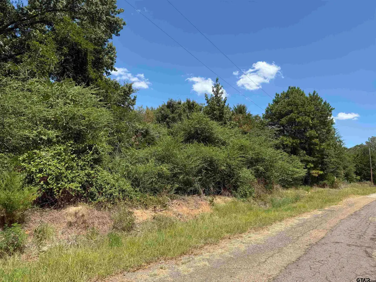 TBD CR 1660, Mount Pleasant, TX 75455 - Image #1