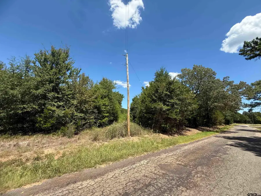 TBD CR 1660, Mount Pleasant, TX 75455 - Image #2