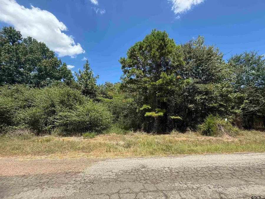 TBD CR 1660, Mount Pleasant, TX 75455 - Image #3