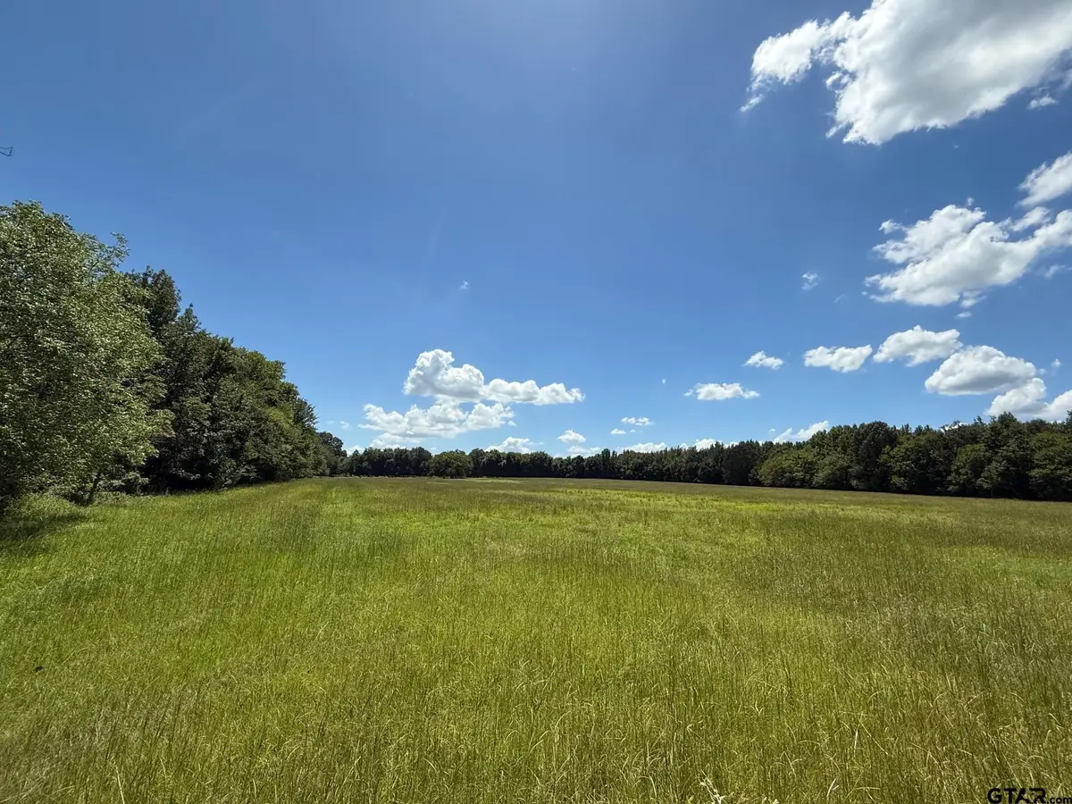 TBD CR 1670, Mount Pleasant, TX 75455 - Image #1