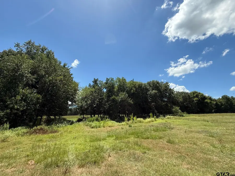 TBD CR 1670, Mount Pleasant, TX 75455 - Image #2