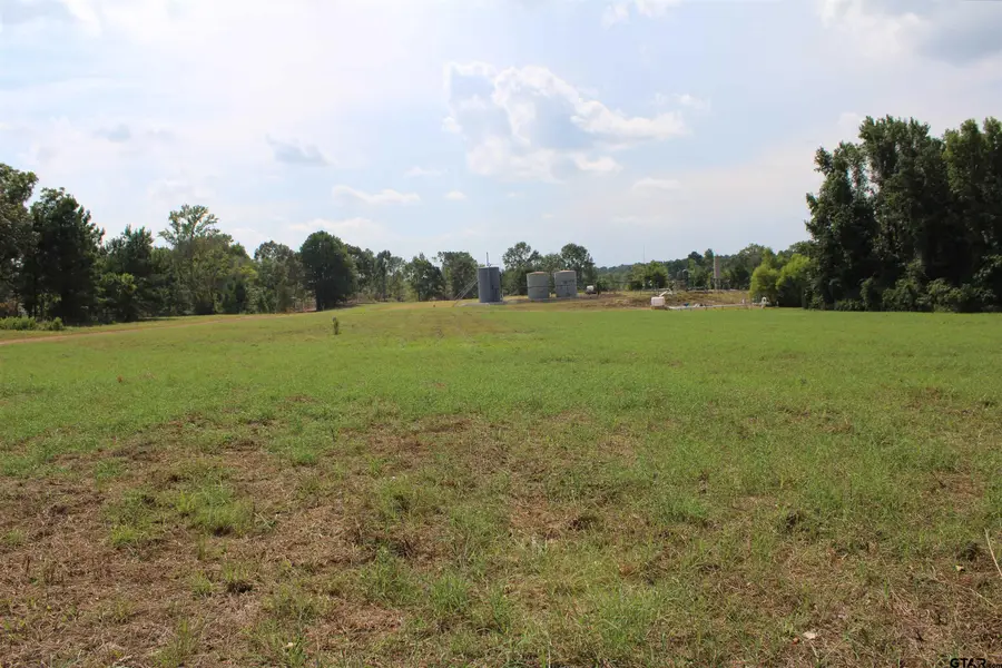 TBD CR 314 9.699 acres, Henderson, TX 75652 - Image #3