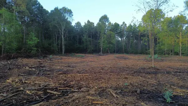 Tract 2 000 E Hwy 80, Waskom, TX 75692