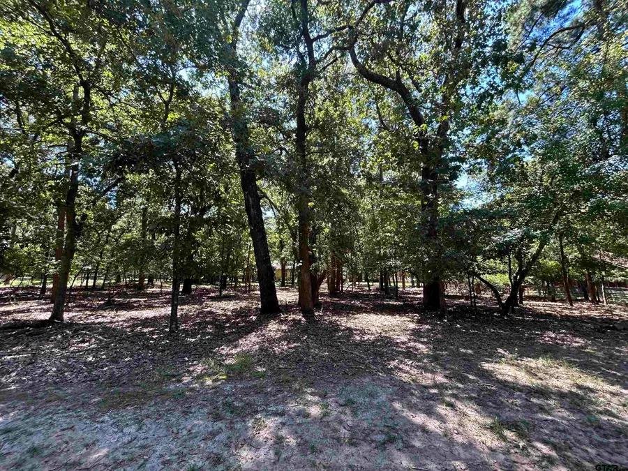 202 Magnolia, Holly Lake Ranch, TX 75765 - Image #2