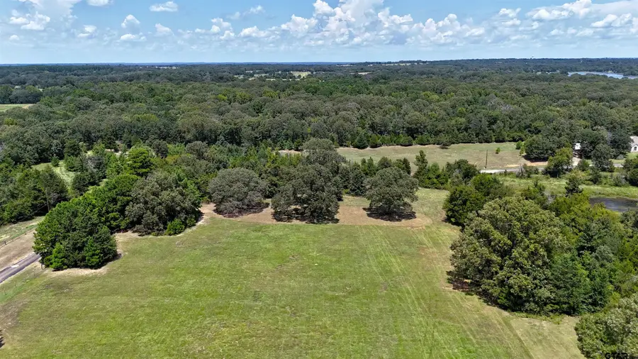 TBD Lee Drive, Murchison, TX 75778 - #3
