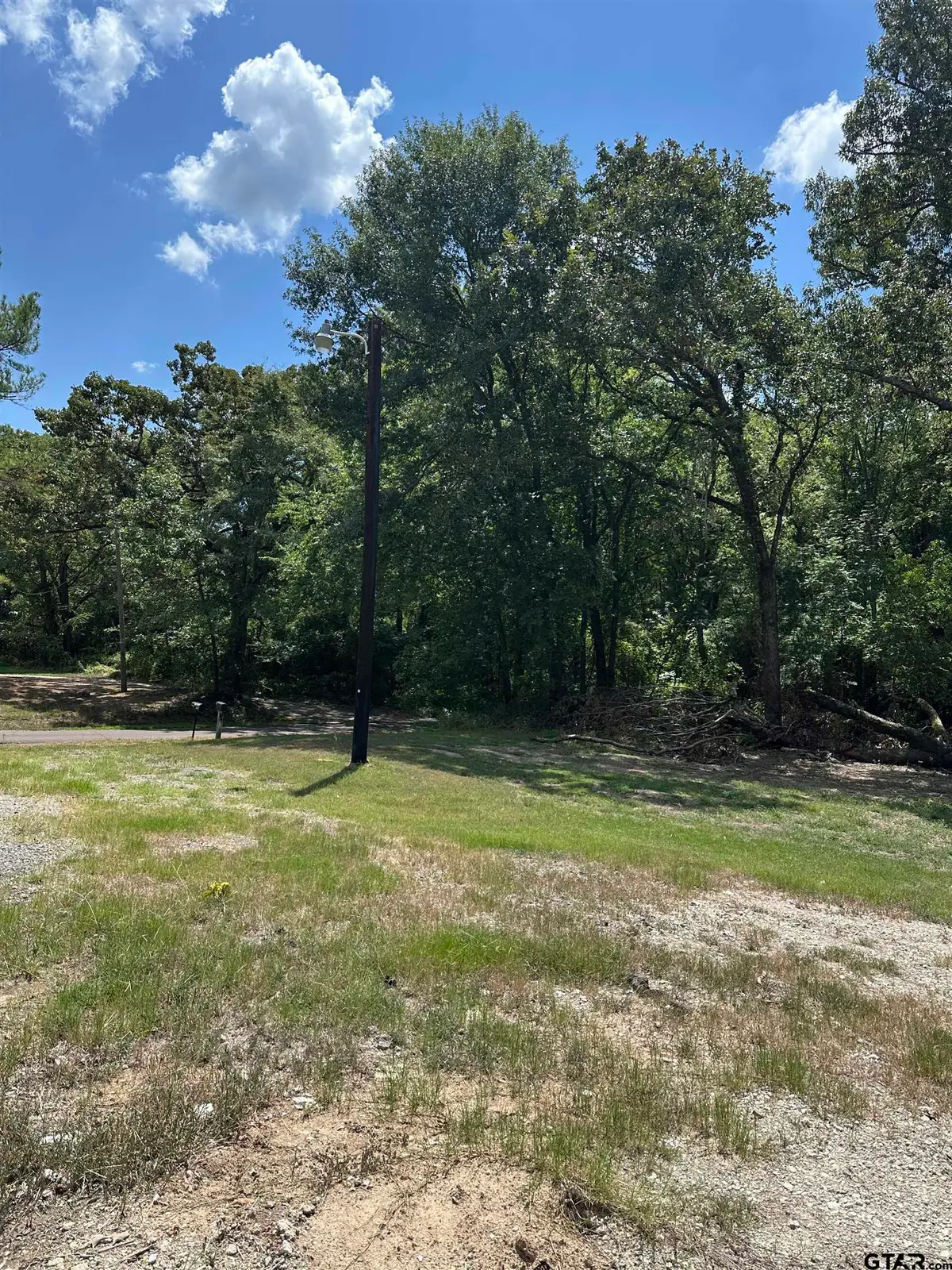 tbd vz County Road 1806, Grand Saline, TX 75140 - Image #1