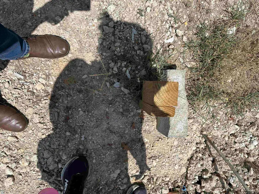 tbd vz County Road 1806, Grand Saline, TX 75140 - Image #3