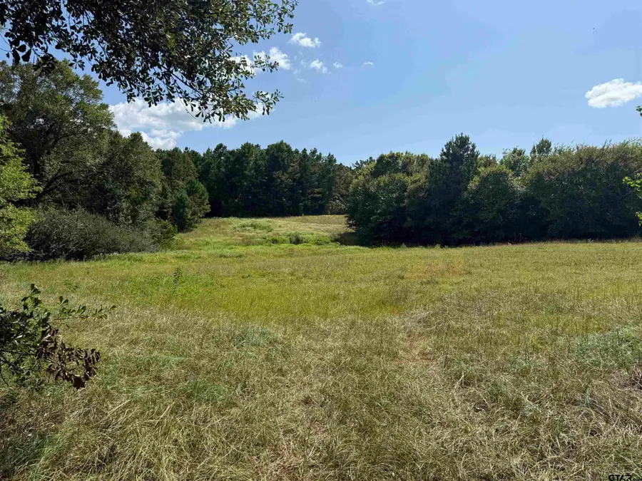 TBD CR 3307 - 5 acres, Jacksonville, TX 75766 - Image #2