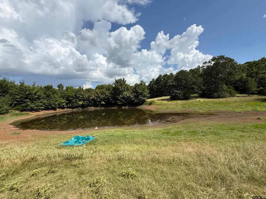TBD CR 3307 - 5 acres, Jacksonville, TX 75766 - Image #3