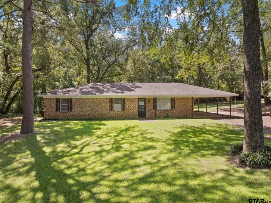 91 County Road 2108, Pittsburg, TX 75686 - Image #3