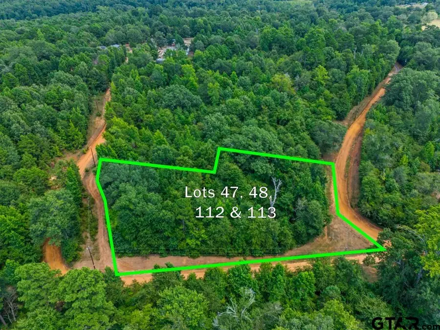 TBD Indian Mound lots 47 48 112 & 113, Hawkins, TX 75765 - Image #2