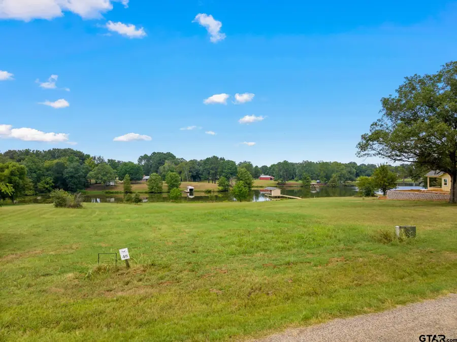 LOT 48 PR 52320, Pittsburg, TX 75686 - Image #3