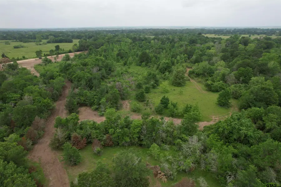 TBD CR 3470, Lovelady, TX 75851 - Image #3