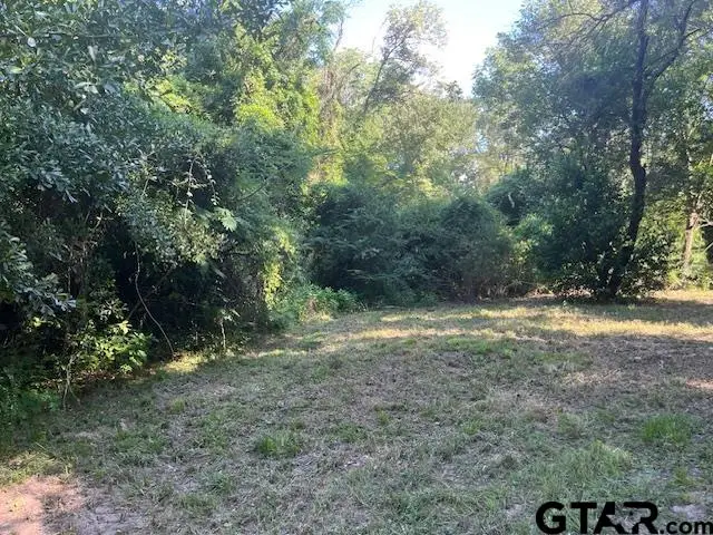 LOT 219 RIM OF THE WORLD, Tool, TX 75143 - Image #2