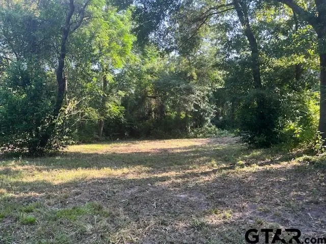 LOT 219 RIM OF THE WORLD, Tool, TX 75143 - Image #3