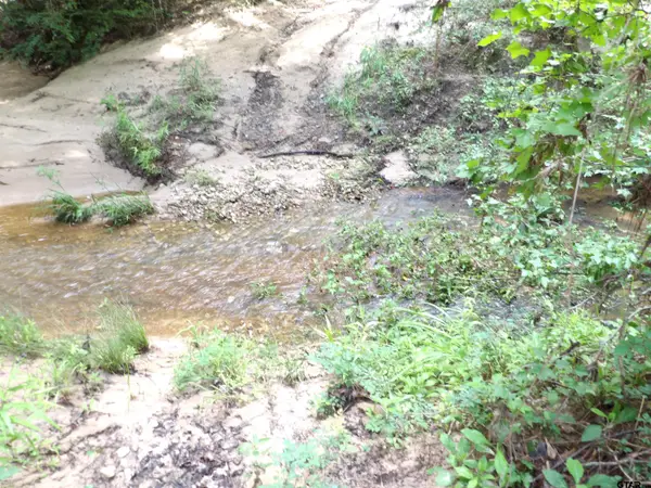 TBD FSR 536, Kennard, TX 75847