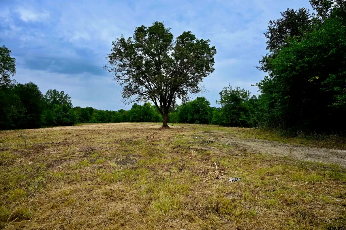 TBD FM 71, Talco, TX 75487 - Image #1