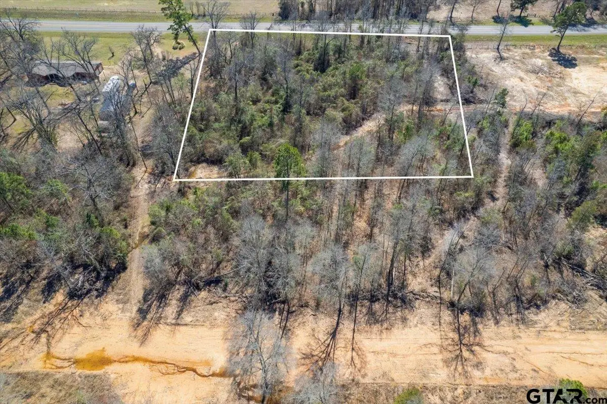 Lot 17 Hwy 11, Pittsburg, TX 75686 - #1