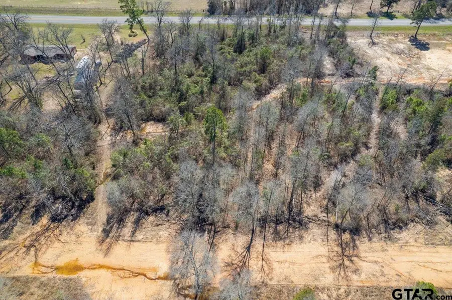 Lot 17 Hwy 11, Pittsburg, TX 75686 - #2