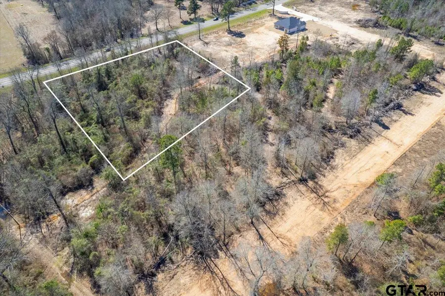 Lot 17 Hwy 11, Pittsburg, TX 75686 - #3