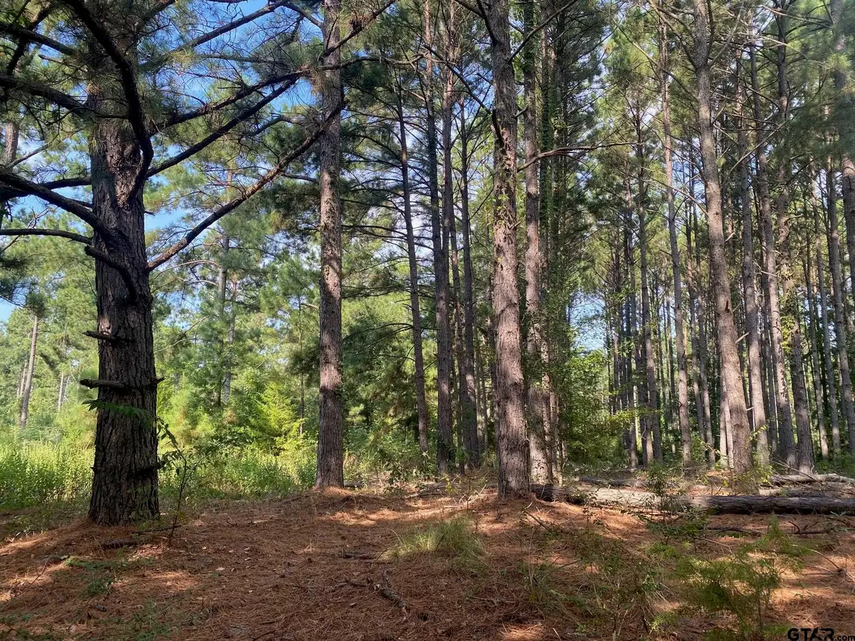 14466 County Road 393, Tyler, TX 75708 - Image #1