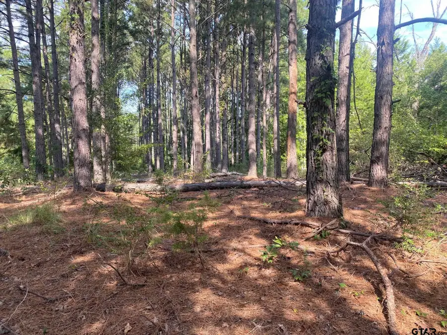 14466 County Road 393, Tyler, TX 75708 - Image #3