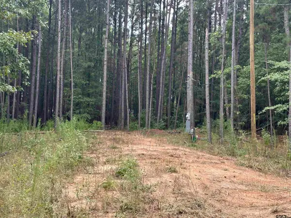 870 CR 1675, Mt Pleasant, TX 75455