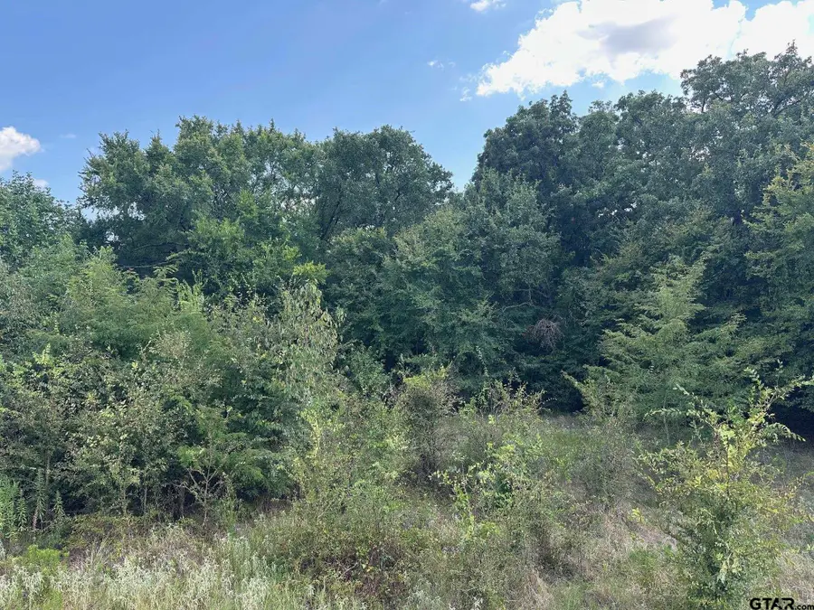 RS PR 6372, Alba, TX 75410 - Image #3