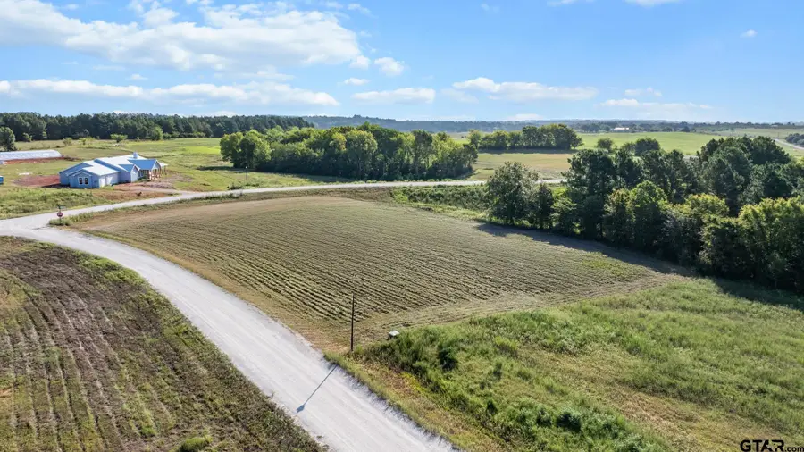 17109 Lux Mundi, Lot. 28, Winona, TX 75792 - Image #3