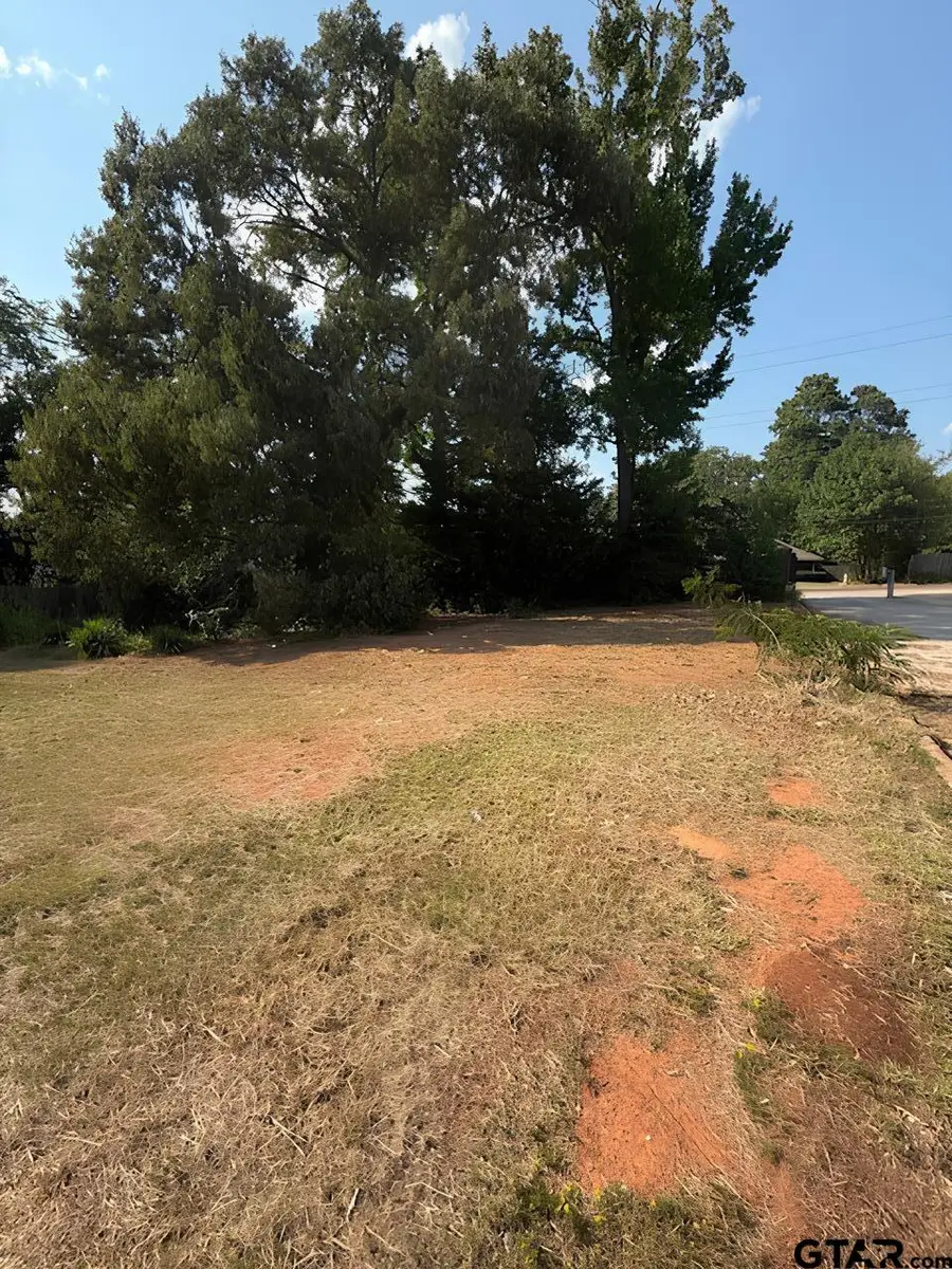 401 Tara Lane, Troup, TX 75789 - Image #2