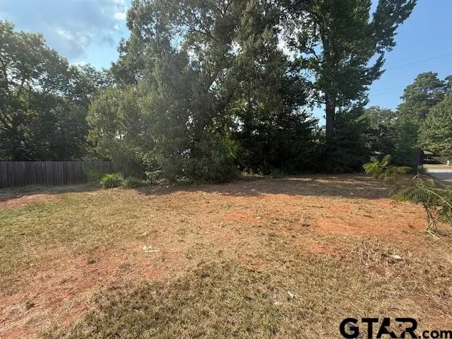 401 Tara Lane, Troup, TX 75789 - Image #3