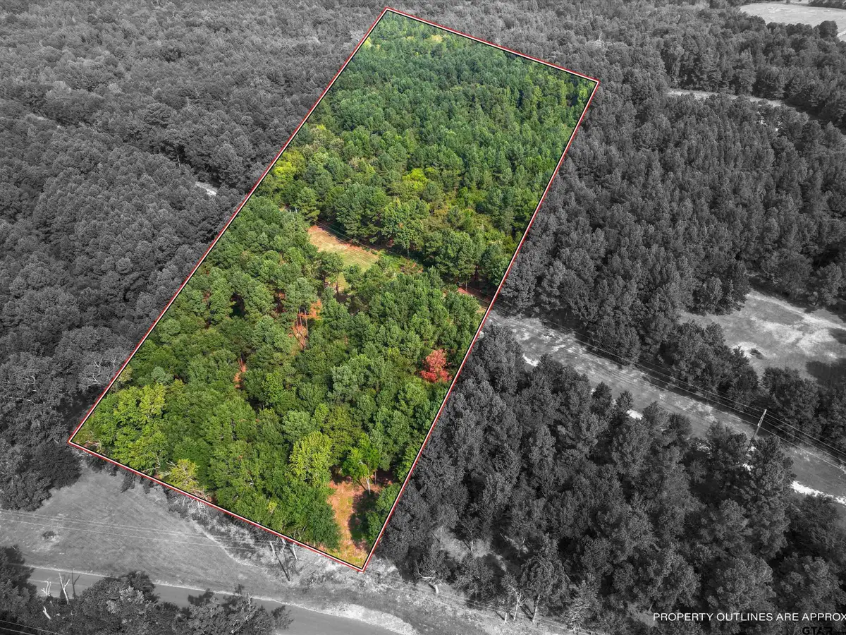 TBD CR 3400, Hawkins, TX 75765 - Image #1