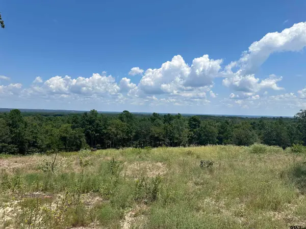 10791 CR 3407, Brownsboro, TX 75756