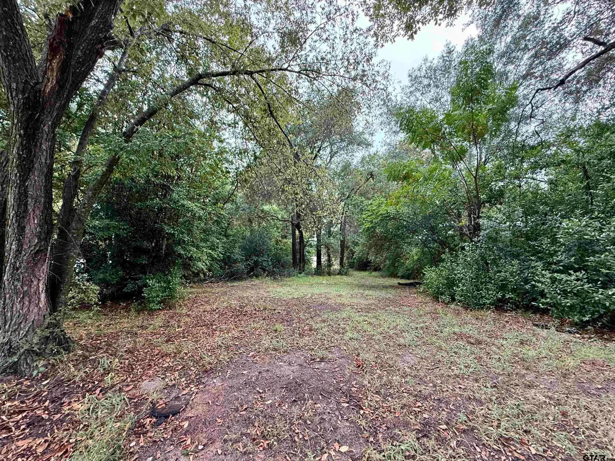 611 College St, Sulphur Springs, TX 75482 - Image #1