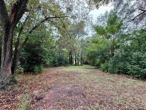 611 College St, Sulphur Springs, TX 75482