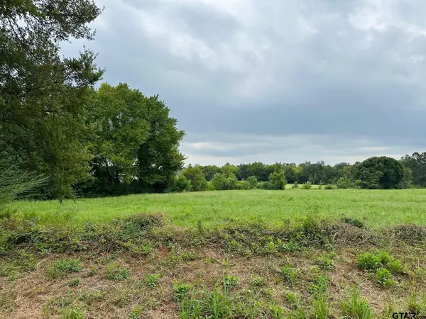 TBD CR 192, Tyler, TX 75703