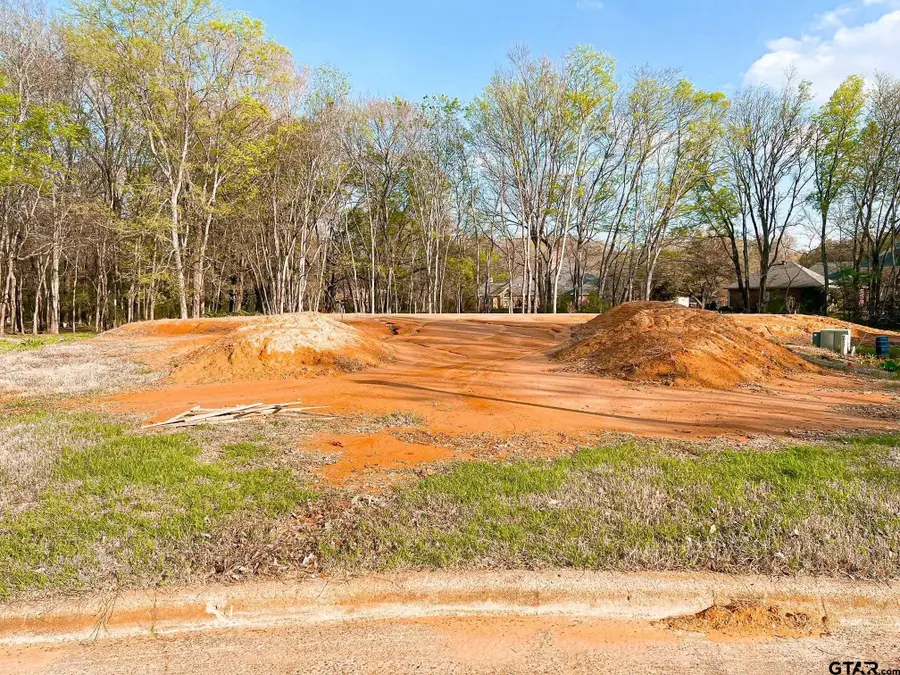 912 Holly Hill Ln, Mount Pleasant, TX 75455 - Image #3