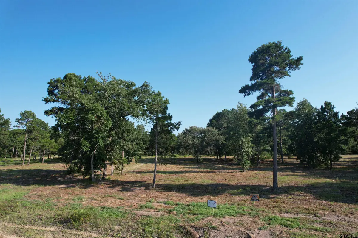 3145 Shadow Pine Dr, Larue, TX 75770 - Image #1