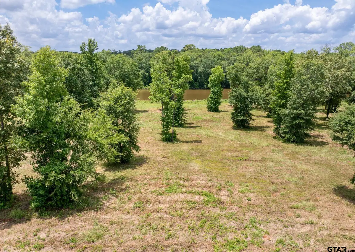785 Stone Chimney Rd. (Lot 3 CR 3608), Bullard, TX 75757 - Image #1
