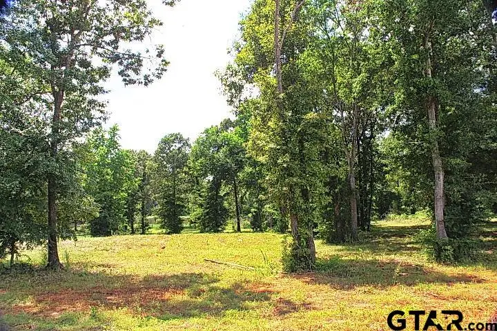 805 Stone Chimney Rd. (Lot 4 CR 3608), Bullard, TX 75757 - Image #1