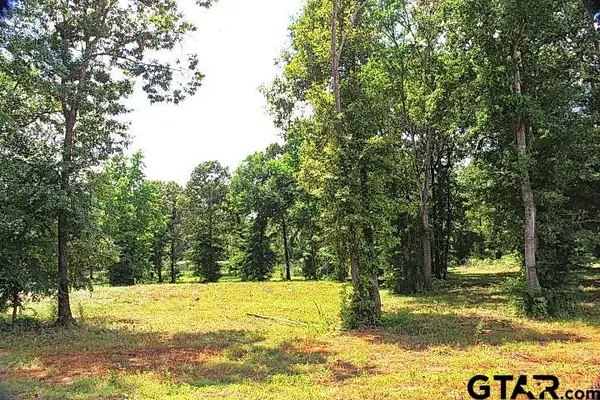 805 Stone Chimney Rd. (Lot 4 CR 3608), Bullard, TX 75757