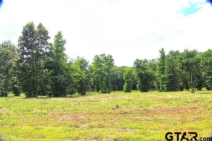 885 Stone Chimney Rd. (Lot 8 CR 3608), Bullard, TX 75757 - Image #1