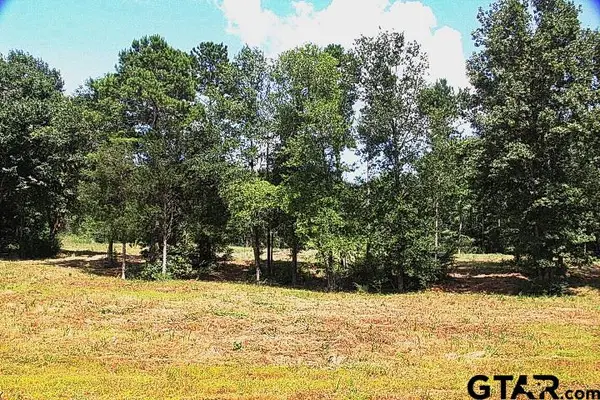 965 Stone Chimney Rd. (Lot 11 CR 3608), Bullard, TX 75757