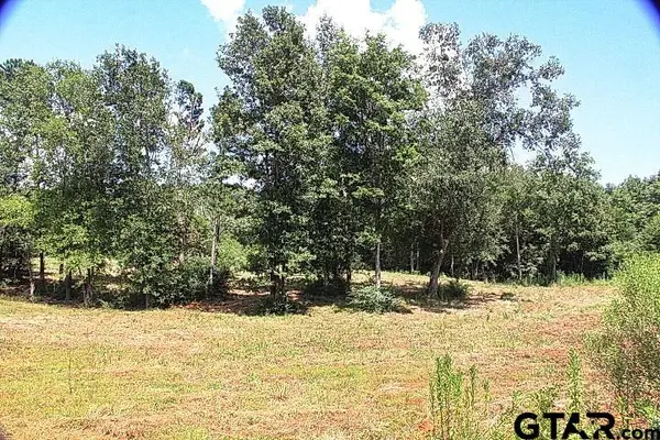 985 Stone Chimney Rd. (Lot 12 CR 3608), Bullard, TX 75757