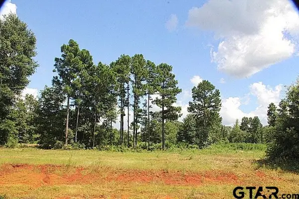 950 Stone Chimney Rd. (lot 17 Cr 3608), Bullard,  75757