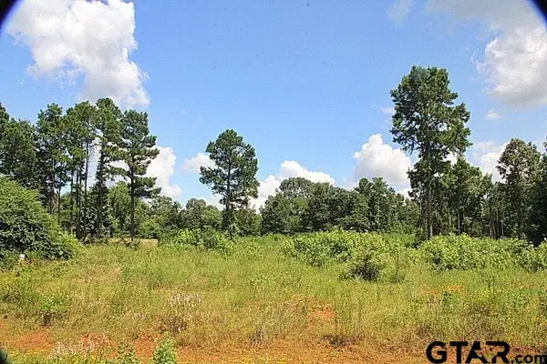 920 Stone Chimney Rd. (lot 19 Cr 3608), Bullard,  75757