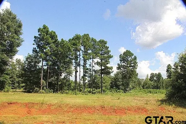 900 Stone Chimney Rd. (lot 20 Cr 3608), Bullard,  75757