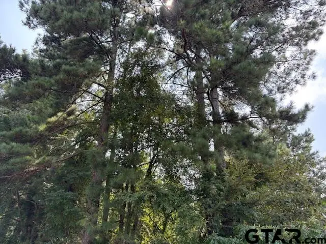 1395 County Road 3405, Jacksonville, TX 75766 - Image #1